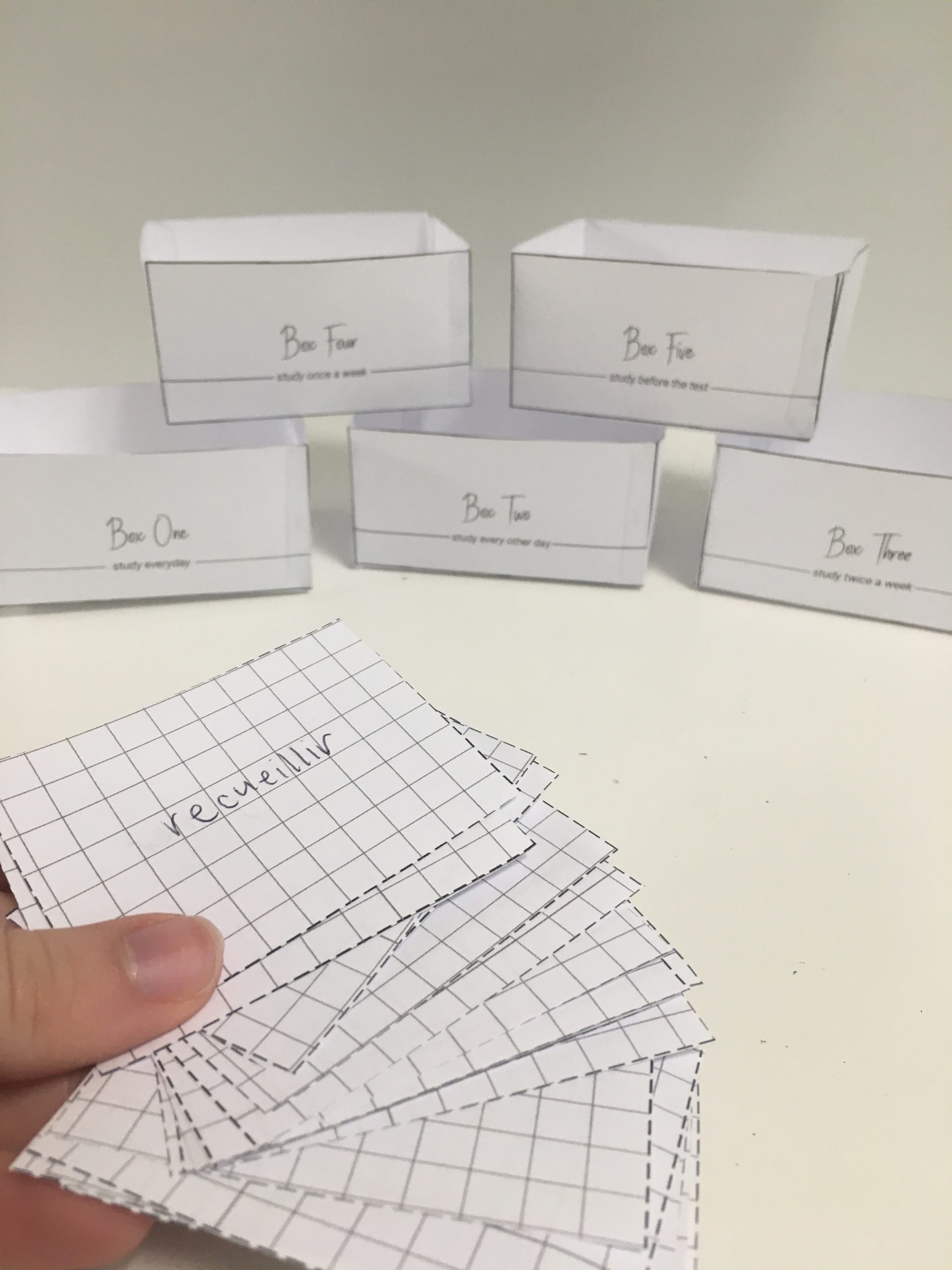 printable leitner boxes and vocabulary flashcards