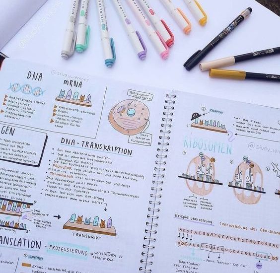 Must Have Stationery Supplies For Note Taking - StudyStuff