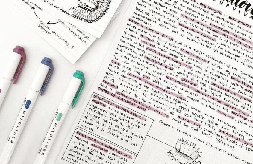 Aesthetic Study Note Taking Template - Download in Word