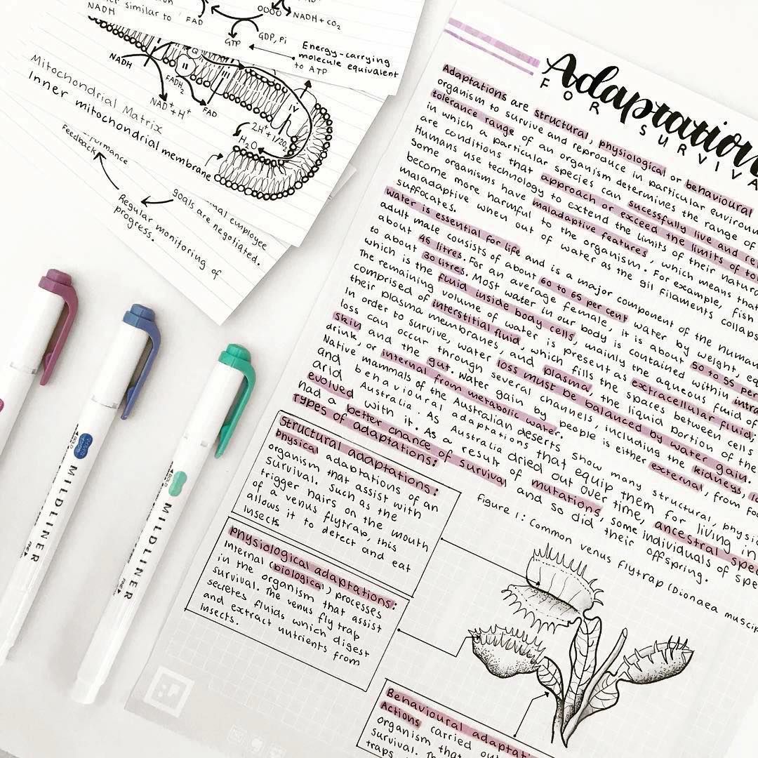 The Ultimate Guide For Taking Aesthetic Notes | Study-Stuff