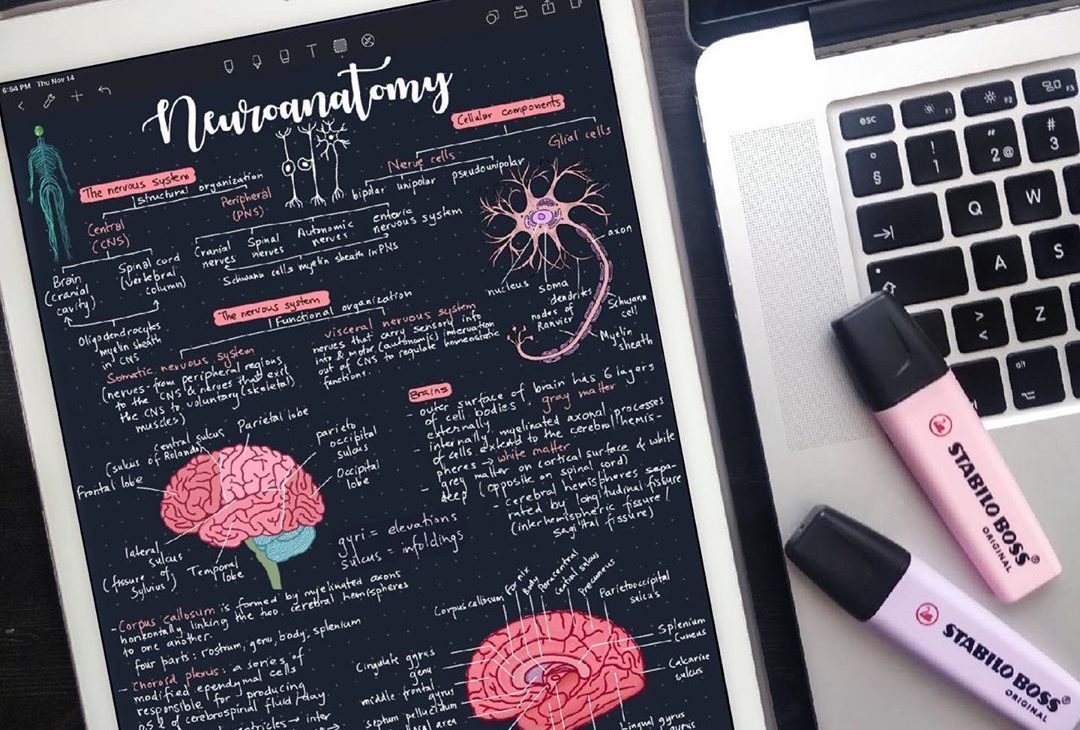 How to Take Aesthetic Notes on an iPad (Typed & Handwritten) - Astropad